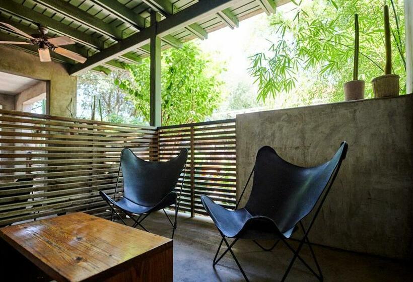 スイート, San Jose