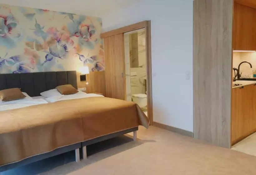 デラックスルーム, Skal Medi Spa & Resort