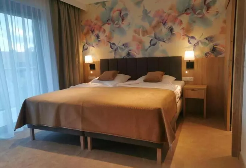 デラックスルーム, Skal Medi Spa & Resort