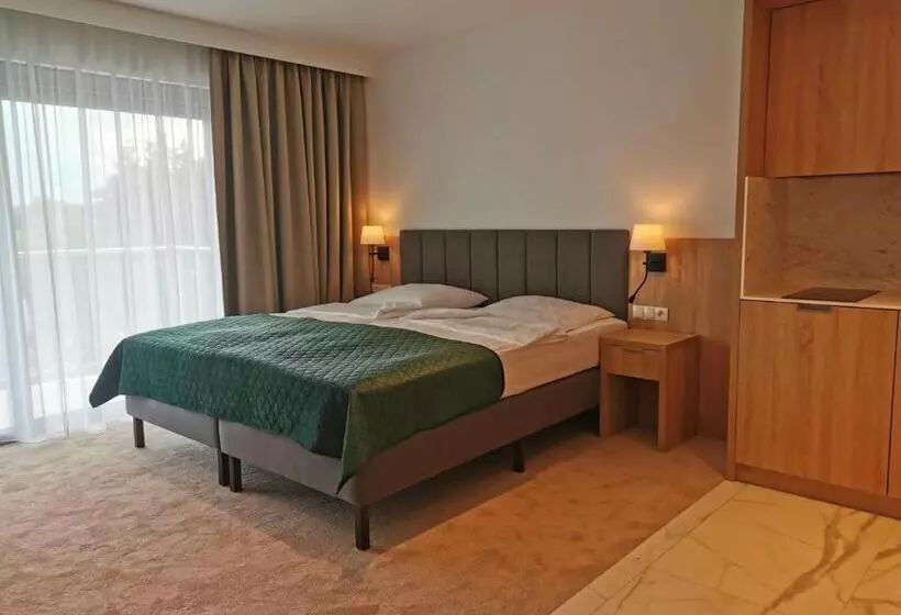 デラックスルーム, Skal Medi Spa & Resort