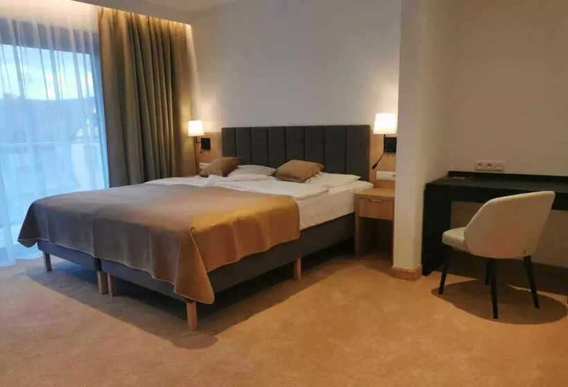 デラックスルーム, Skal Medi Spa & Resort