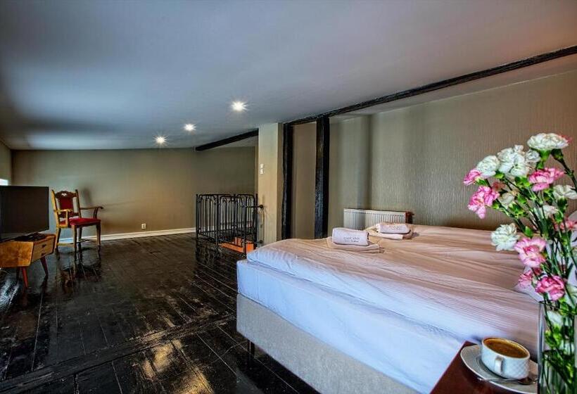 آپارتمان 1 خوابه, Stare Kino Cinema Residence