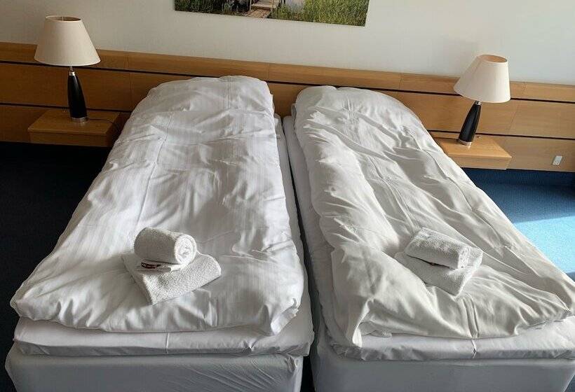 غرفة إقتصادية, Strandhotellet Vedersø