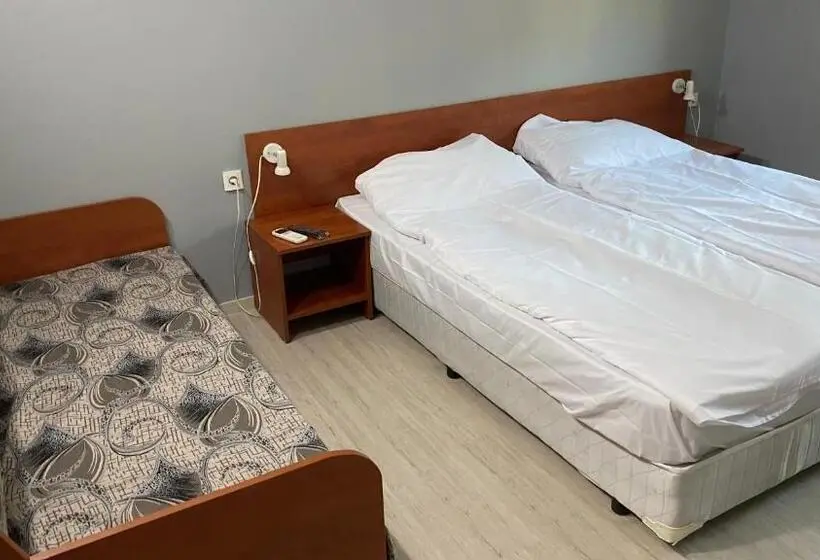 デラックスルーム, хотел враца