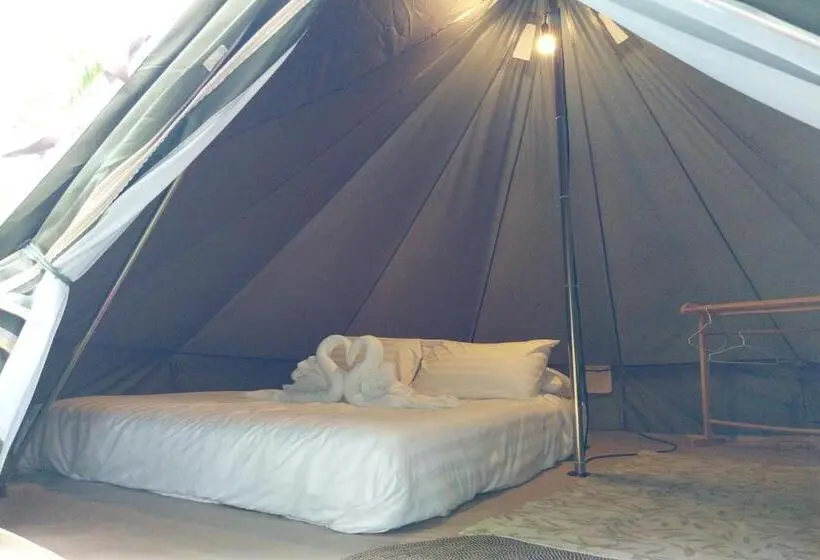 Standard Tent, It My Life Cafe X Camp