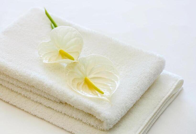 经典套房, Mercure Wakayama Kushimoto Resort & Spa