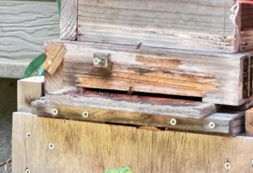 Дом 1 Спальня, Potato Mura House Tatara Vacation Stay 90000v