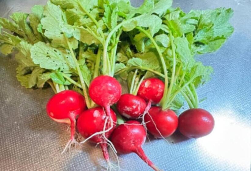 Дом 1 Спальня, Potato Mura House Tatara Vacation Stay 90000v