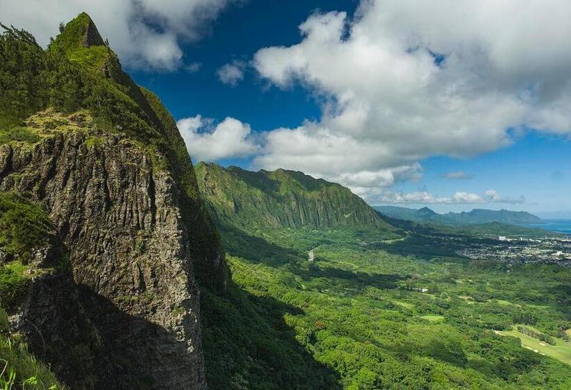 ２ベッドルームアパートメント, Royal Aloha