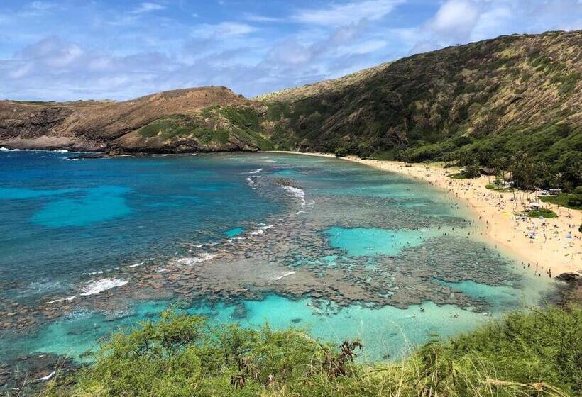 آپارتمان 2 خوابه, Royal Aloha