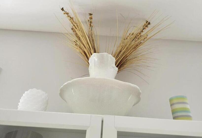 标准间, Peaceful Place New