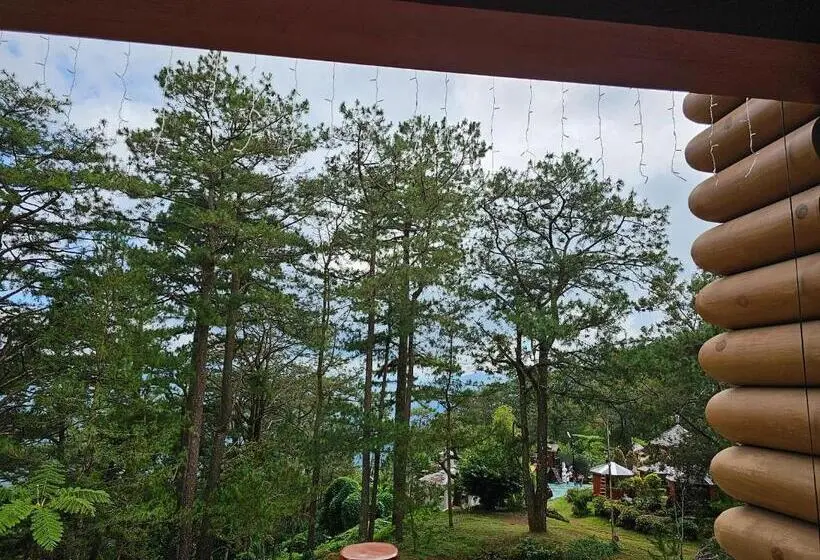 Deluxe-sviitti, Baguio Forest Lodge At Camp John Hay 004
