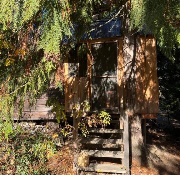 스탠다드 룸, Cutest Little Cabin In The Woods