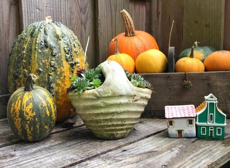 اتاق استاندارد با تراس, Bnb 117