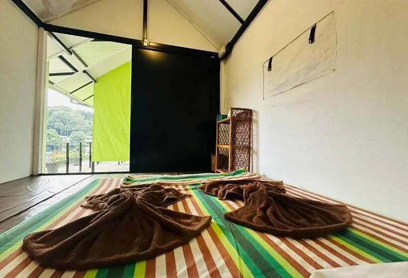 スタンダードルーム, The Sky Tents