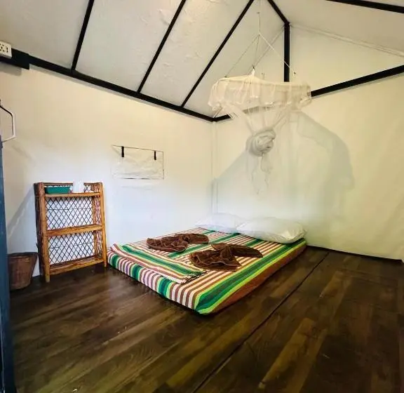 スタンダードルーム, The Sky Tents