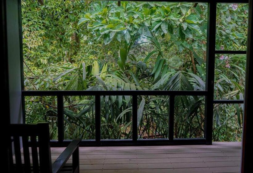 اتاق استاندارد با بالکن, Hospedaje El Bosquecito