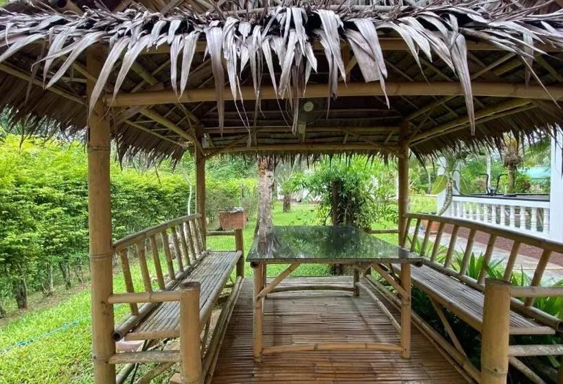 エコノミールーム, Palm Gardens Resort, Bang Saphan
