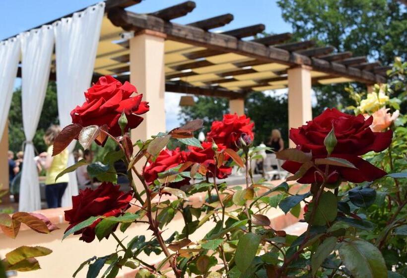 חדר סטנדרט עם מיטת קינג, La Collina Di Montecchio