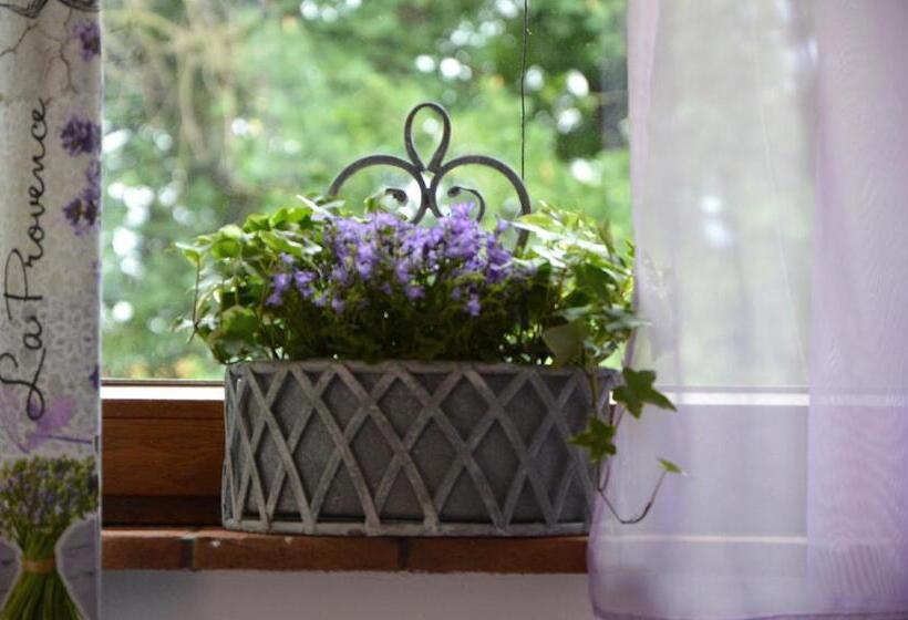 בית, חדר שינה 1, La Collina Di Montecchio