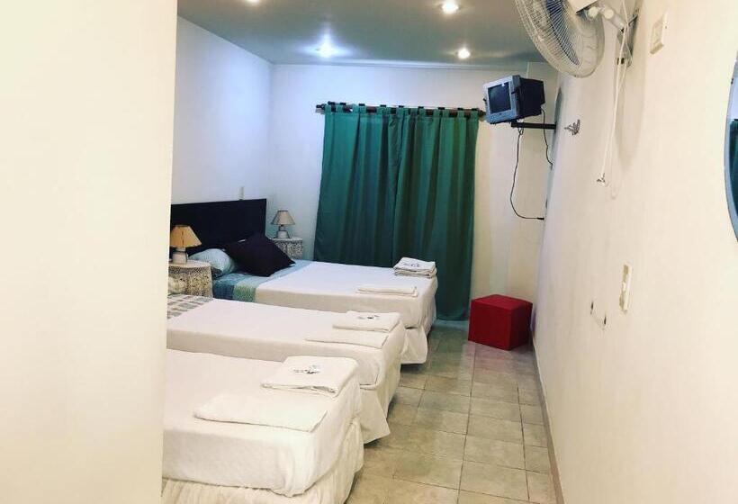 غرفة قياسية رباعية, Alfonso Nuevo Dueño