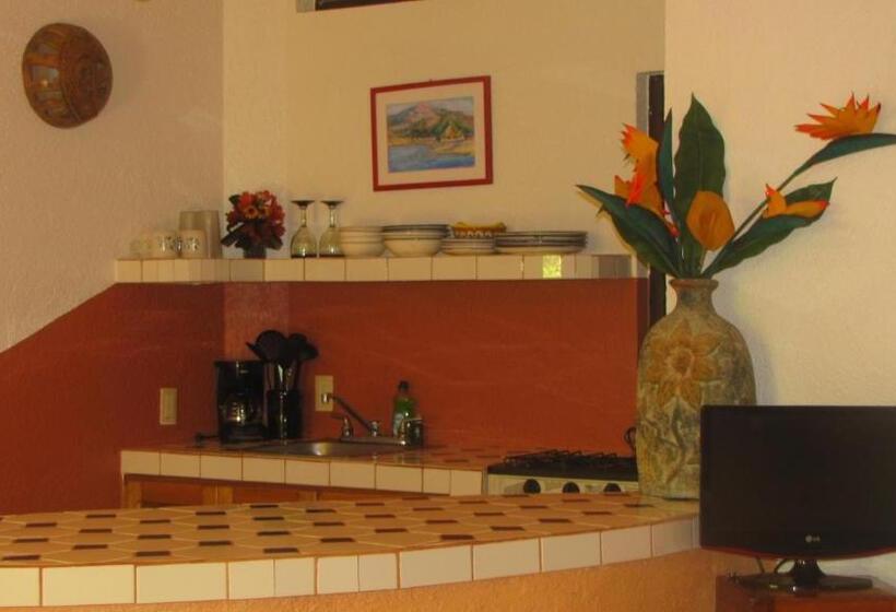 Büyük Çift Kişilik Yataklı Standart Oda, La Paloma Oceanfront Retreat