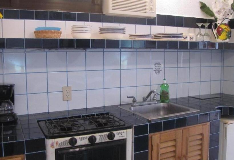 غرفة قياسية سرير كينج, La Paloma Oceanfront Retreat