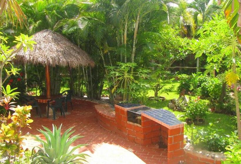 غرفة قياسية سرير كينج, La Paloma Oceanfront Retreat