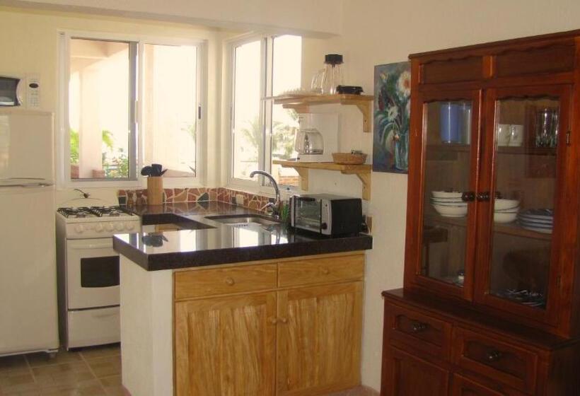 شقة دور أخير غرفة نوم واحدة, La Paloma Oceanfront Retreat