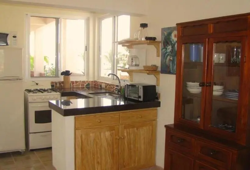 １ベッドルームペントハウスアパート, La Paloma Oceanfront Retreat