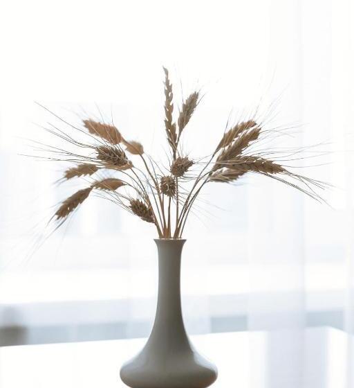 آپارتمان 1 خوابه, Medeu