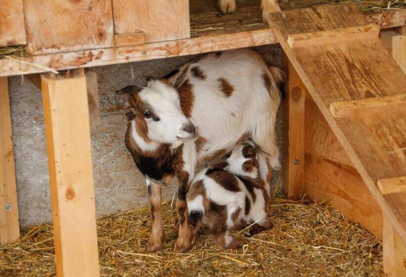 带2个卧室的公寓, Pineiderhof