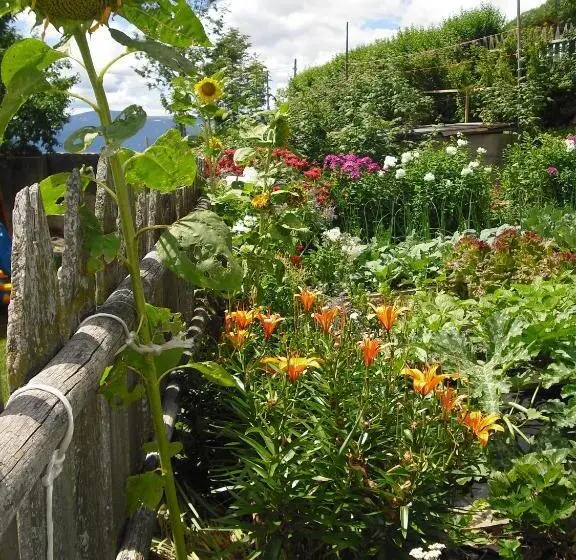 آپارتمان 1 خوابه, Pineiderhof