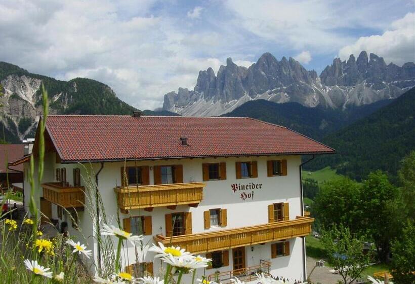 带1个卧室的公寓, Pineiderhof