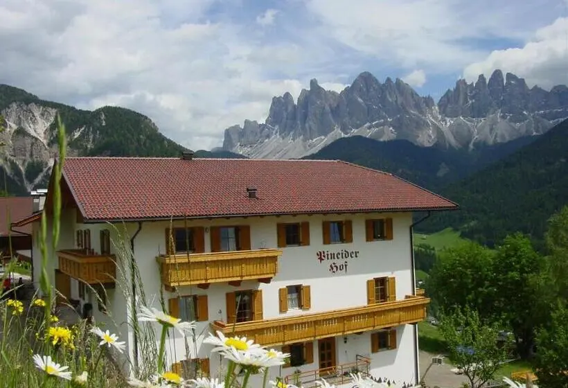 آپارتمان 1 خوابه, Pineiderhof