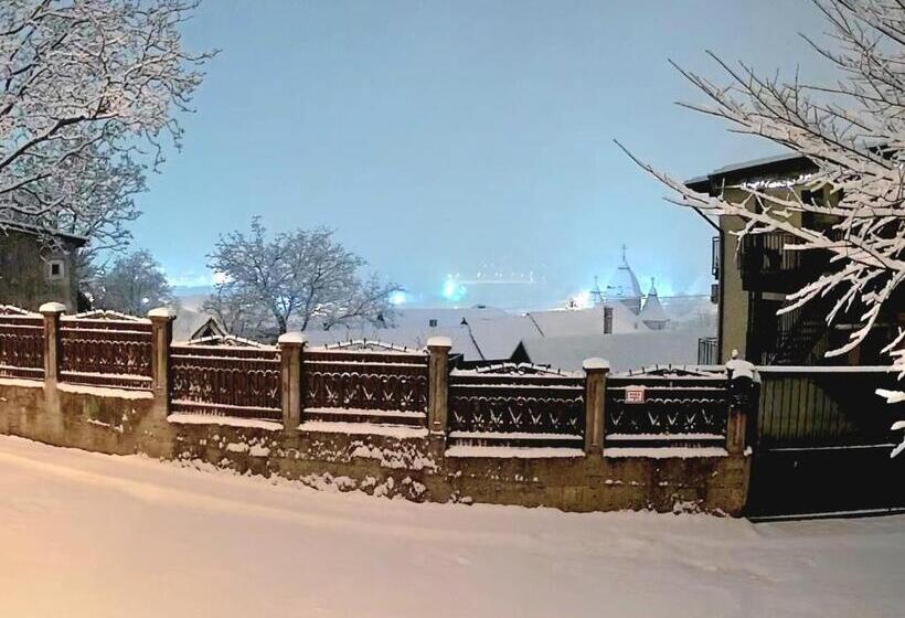 Дом 2 Спальни, Dominic House