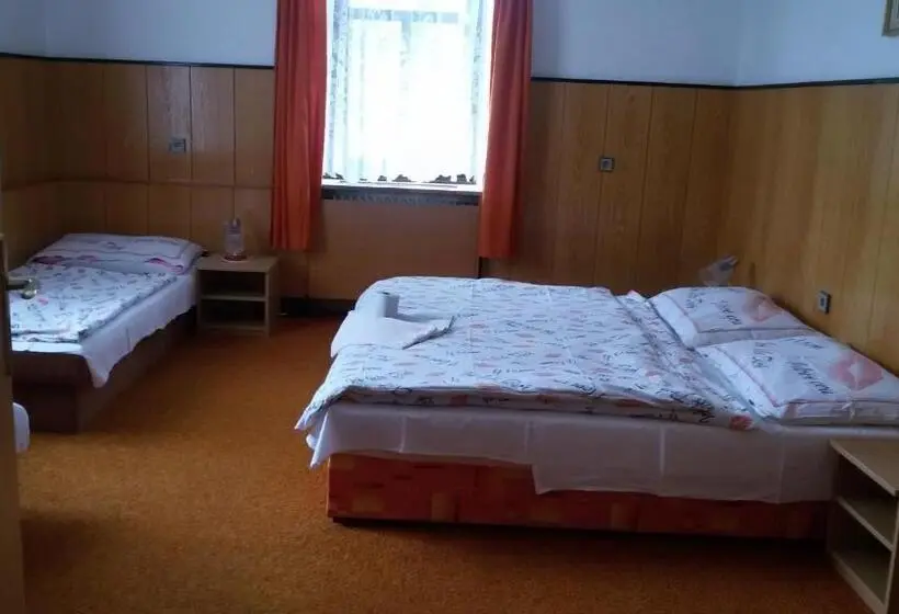 スタンダード4人部屋, Penzion Vozzýk