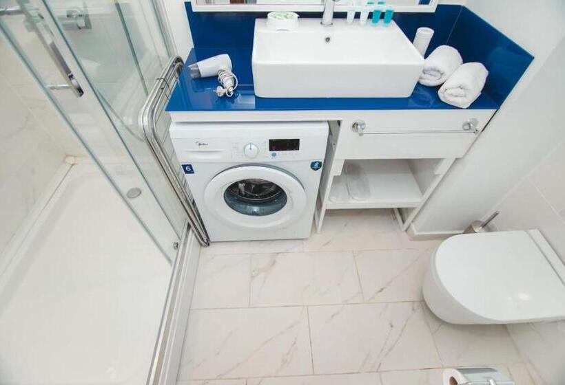 استودیو استاندارد با تخت کینگ, Apartment From Batumi