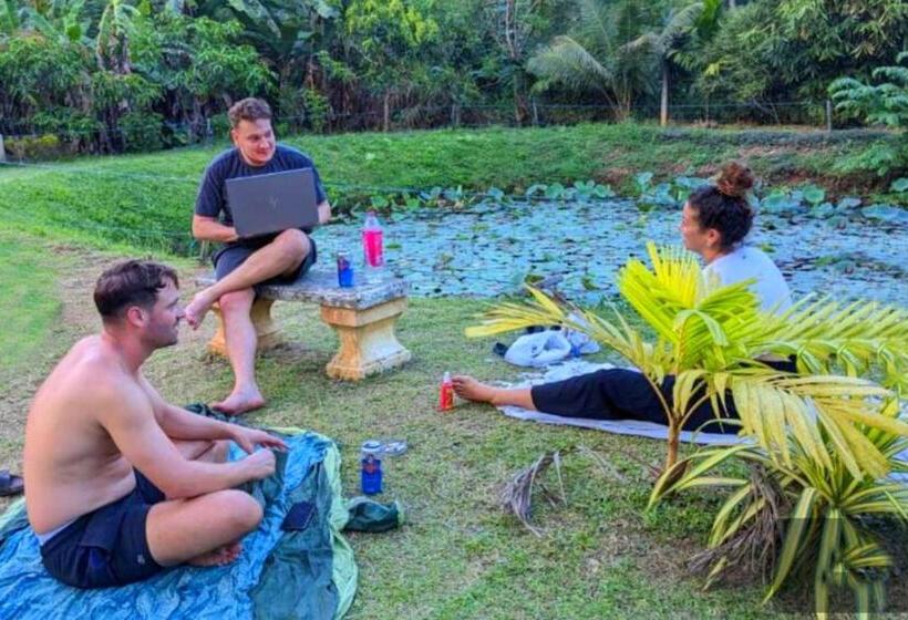 Номер Стандарт, Green View Safari Paradise