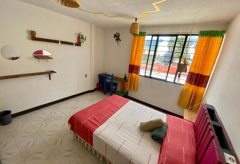 اتاق استاندارد, Casa El Mundo