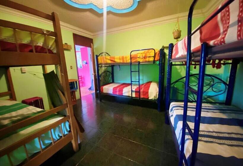 ویلای سوپریور 1 خوابه, Casa El Mundo