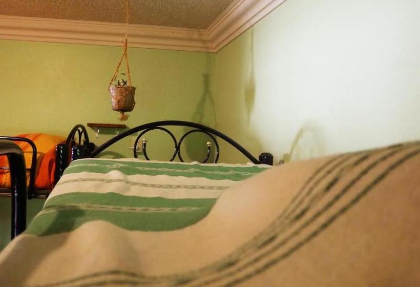 اتاق خانوادگی, Casa El Mundo