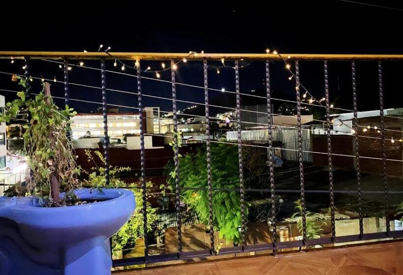 ویلای سوپریور 1 خوابه, Casa El Mundo