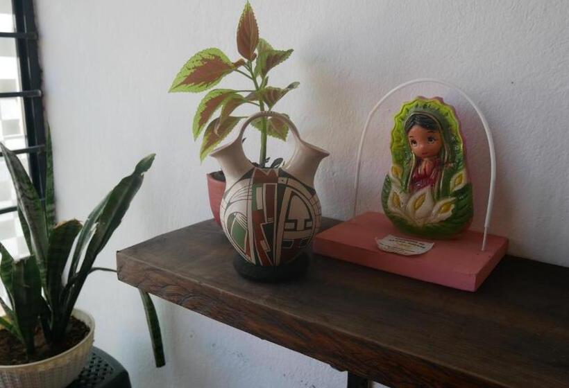ویلای سوپریور 1 خوابه, Casa El Mundo