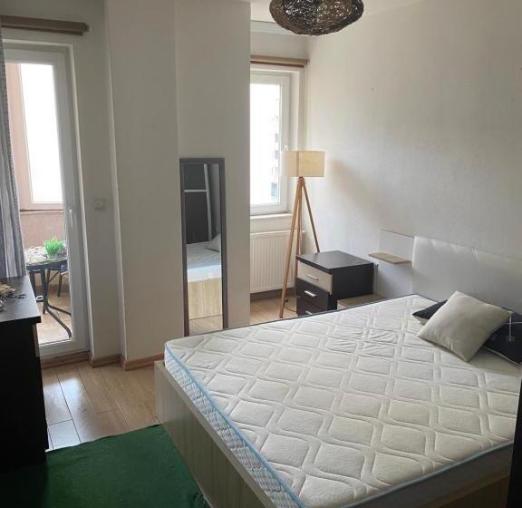 Habitació Estàndard, Kosova