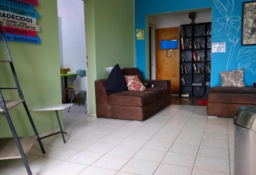 Номер Стандарт 2 Двуспальные Кровати, Krishna Guest House