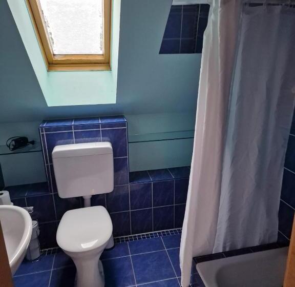 Семейный Номер, Pension Stiersbach