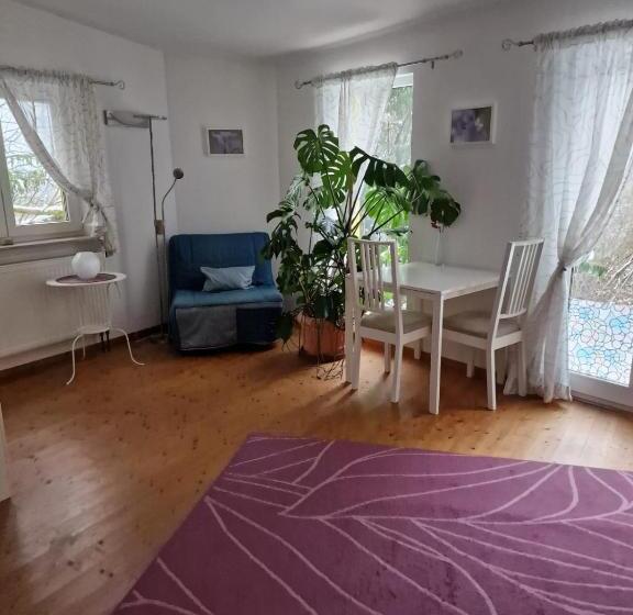 Апартаменты 1 Спальня с Террасой, Pension Stiersbach