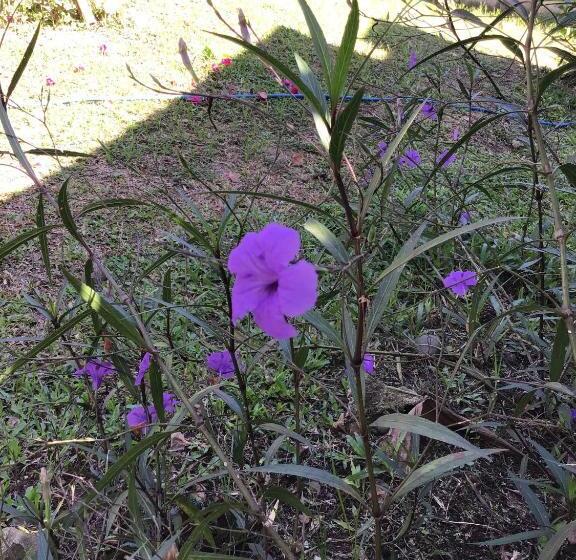 标准间, Palmera Rooms Caribe