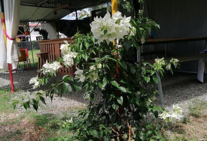 标准间, Palmera Rooms Caribe